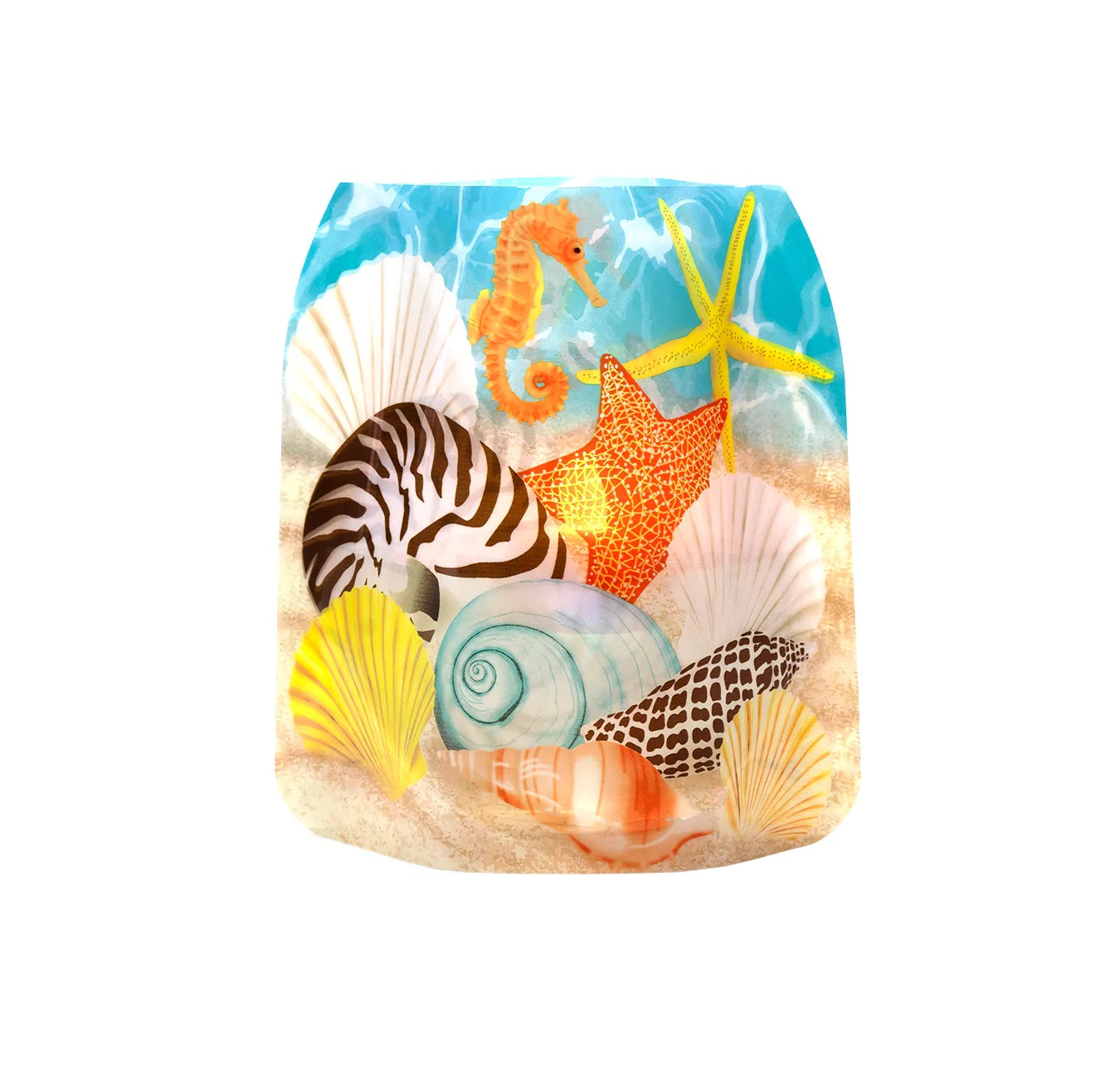 Modgy Luminary Lanterns Shelly Set of 4