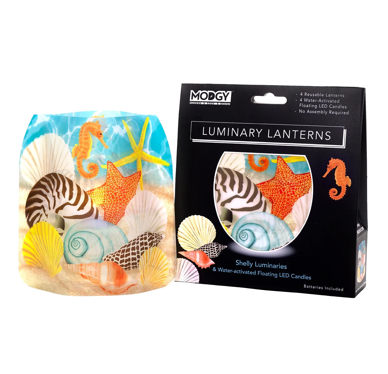 Modgy Luminary Lanterns Shelly Set of 4