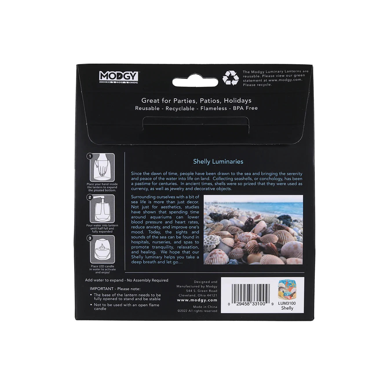 Modgy Luminary Lanterns Shelly Set of 4